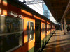 P1180616-s.jpg
