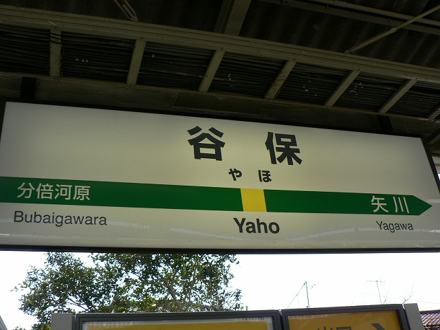 P1000004.jpg