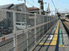 P1000006-s.jpg