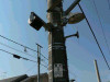P1000008-s.jpg