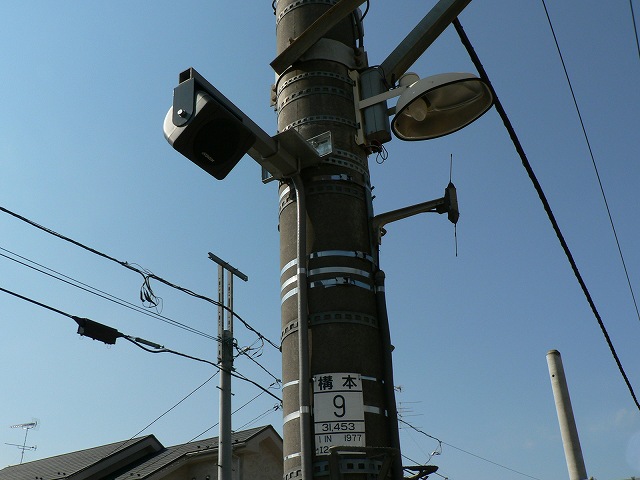 P1000008.jpg