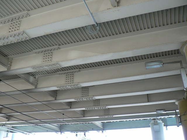 P1000012.jpg