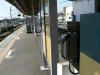 P1000016-s.jpg