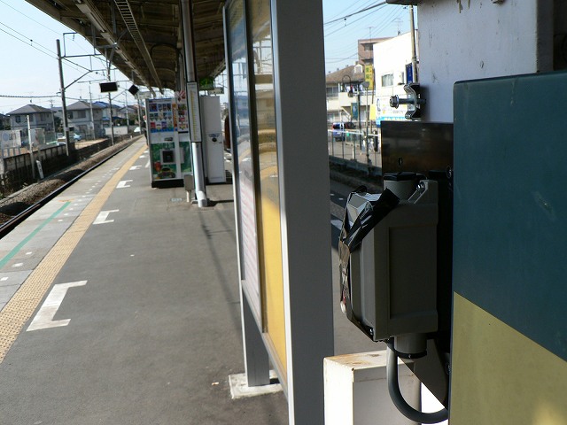 P1000016.jpg