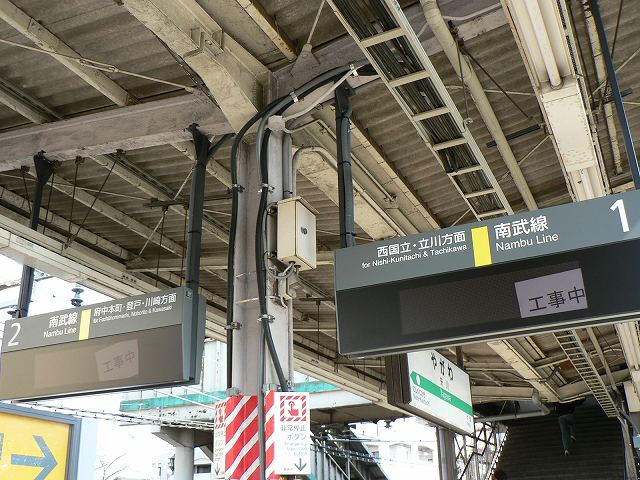 P1000019.jpg