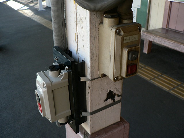 P1000026.jpg