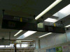 P1000033-s.jpg