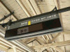 P1000037-s.jpg