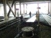 P1000051-s.jpg