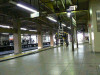 P1000054-s.jpg