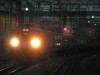 882MS96-s.jpg