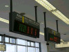 P1030878-s.jpg