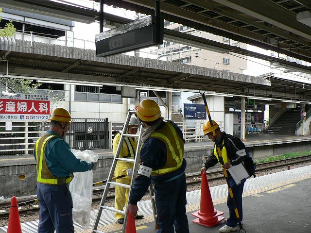 P1030931.jpg