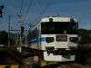sP1050136-s.jpg
