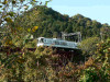 sP1050140-s.jpg