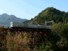 sP1050150-s.jpg