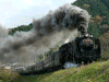 sP1050199-s.jpg