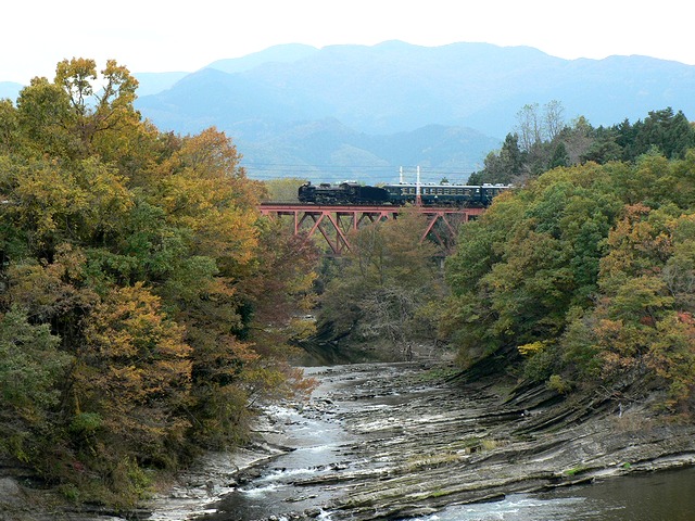 sP1050326.jpg