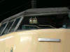 P1090255-s.jpg