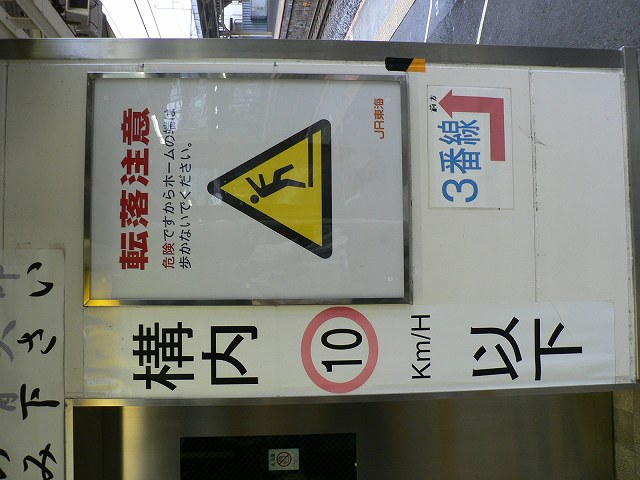 P1090306.jpg