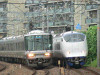 P1090338-s.jpg