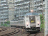 P1090394-s.jpg