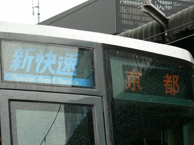 P1090486.jpg