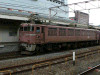 P1090584-s.jpg