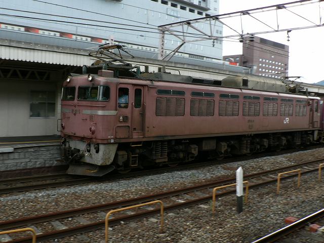P1090584.jpg