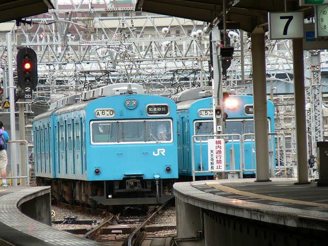 P1090616.jpg