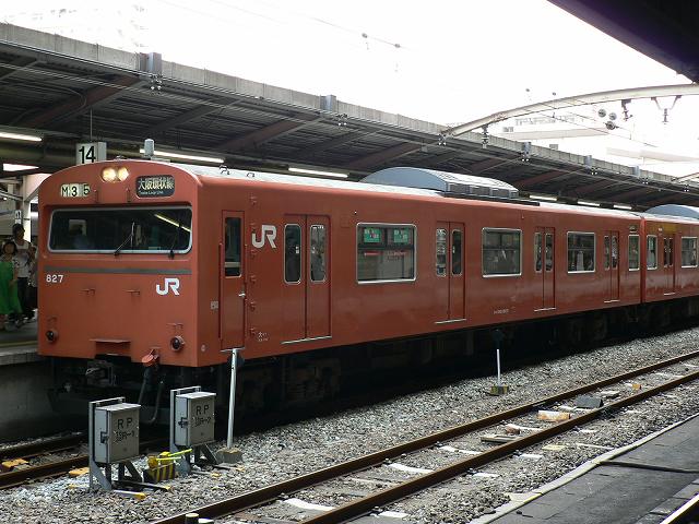 P1090648.jpg