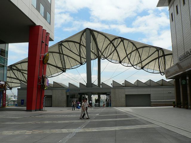 P1090716.jpg