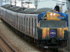 P1090725-s.jpg