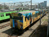 P1090782-s.jpg